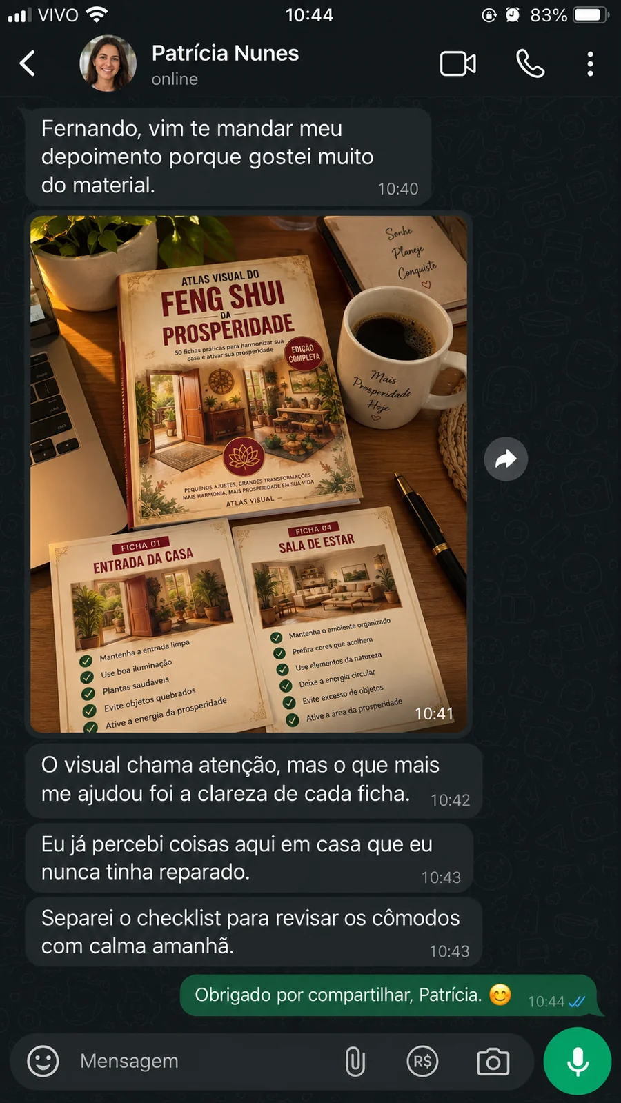 Print de conversa no WhatsApp: relato de Patrícia Nunes sobre o Atlas Visual do Feng Shui da Prosperidade